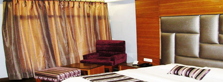 1295/Hotel Royal Castle - Amritsar 08.jpg
